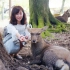 【kumiko】VLOG——和我一起喂奈良小鹿