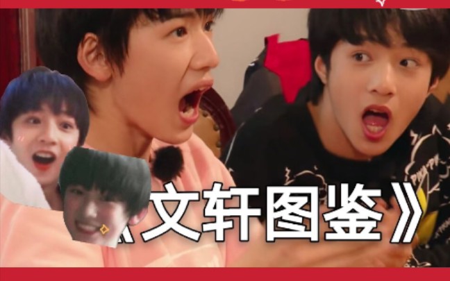文轩文轩碗盆图鉴沙雕瞬间魔性上头