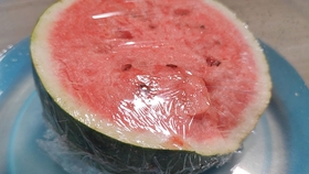 a0cf0b1c9e816832388ef8369e8acfa3db40a4fb.jpg@280w_158h_1c_100q.jpg