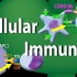动画 | 适应性免疫应答(1)：细胞免疫应答