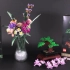 乐高新系列 Botanical Collection花束（10280）与盆景（10281）套装预览