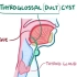【搬运osmosis】Thyroglossal duct cyst