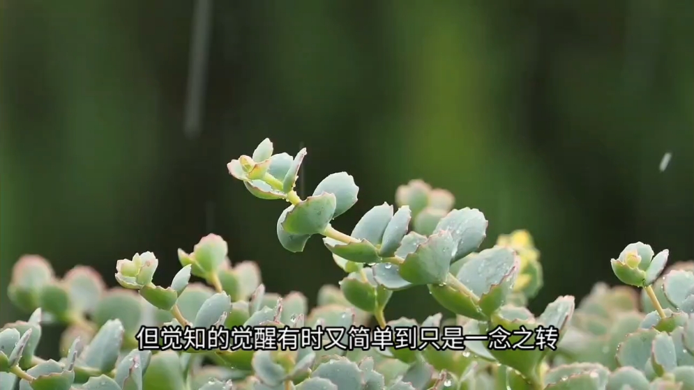 为什么你的转念，无法让自己摆脱情绪旋涡？正确的做法应该是这样！