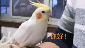 a15f8732b30ac059ce0b5385f07b312cde2cb4e6.jpg@280w_158h_1c_100q.jpg