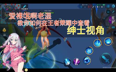 王者荣耀绅士视角修改,教你怎么看小姐姐的胖