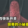 女生的快乐开关，阴蒂的小秘密