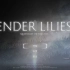 (重制合集）【Ender Lilies/终焉之莉莉】主线ABC结局+全收集剧情流程向攻略（已完结）