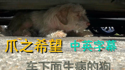 a172fd5c836f3742b3937ee5b5124402981c744d.jpg@480w_270h_1c