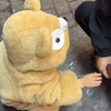 急眼了#屁辰#人类幼崽的迷惑行为