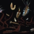 诡异多姿的远洋浮游蠕虫（环节动物门、多毛纲）