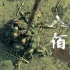 《八佰》电影剪辑：四行仓库保卫战！致敬八佰壮士！致敬中国军人！