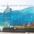 在江西农业大学读书，是一种什么样的感受？