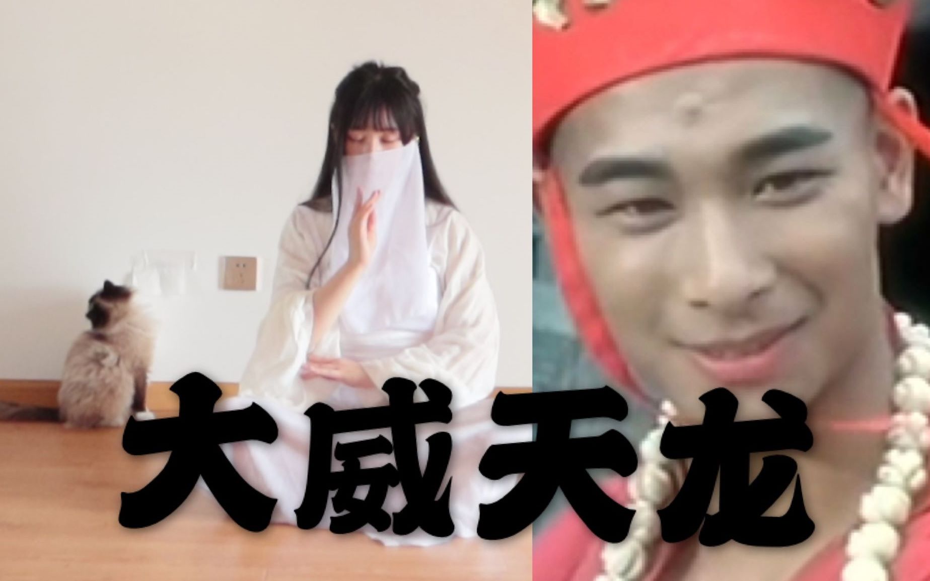 【大威天龙】法海 我一眼就看出你不是人 神猫侠侣_哔哩哔哩_bilibili