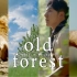老森林的盛夏，我拍了男生版的《小森林》｜SEL2470GM2评测