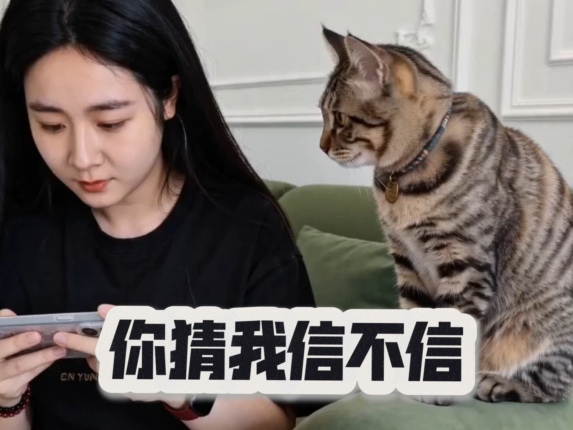 你猜我信不信呀~