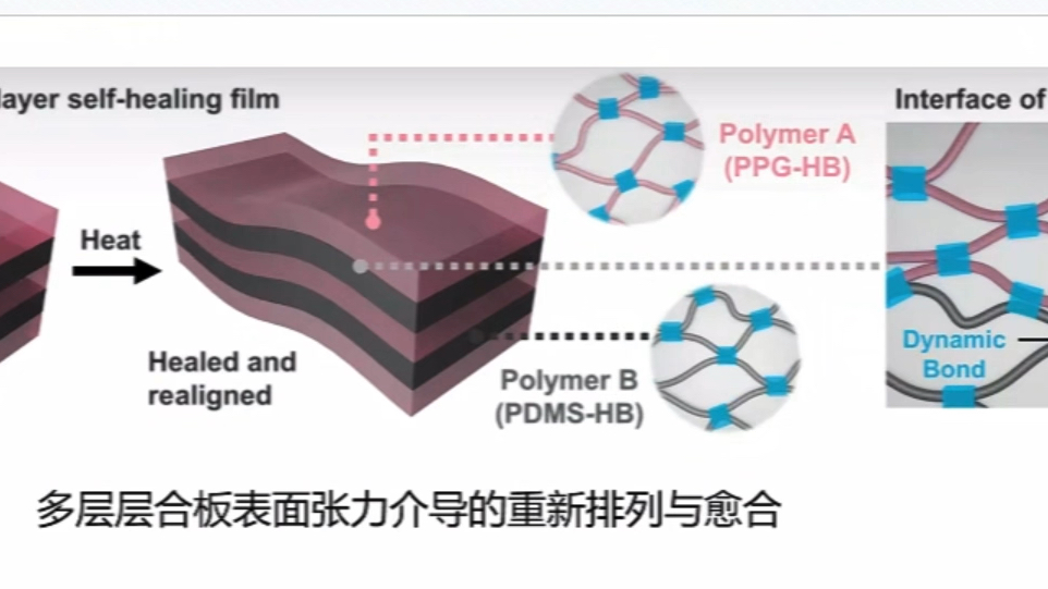 【Science】多层软电子自主修复（赵桐）