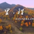 【中国青海】里程/青海风景宣传