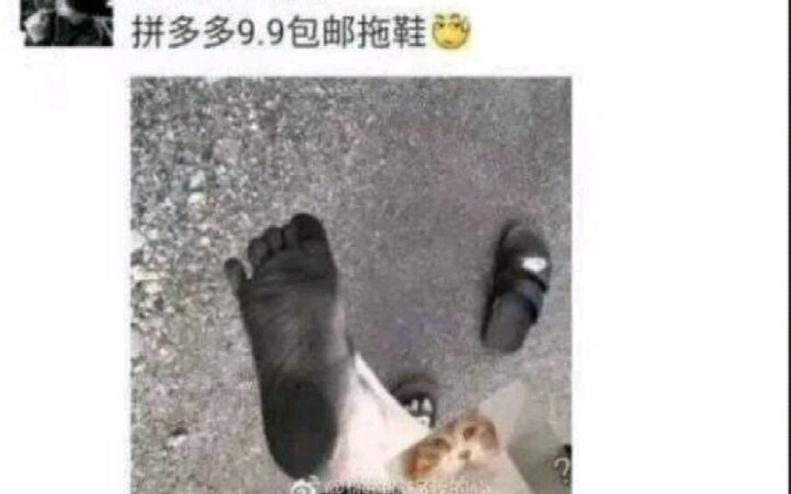 【拼多多】并夕夕的那些人,搞笑的买家秀