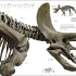 【推荐】英国原版DK图书《恐龙&史前生命》生物化石科学艺术