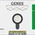 什么是基因组？以及开展这方面研究，对于我们人类的意义！