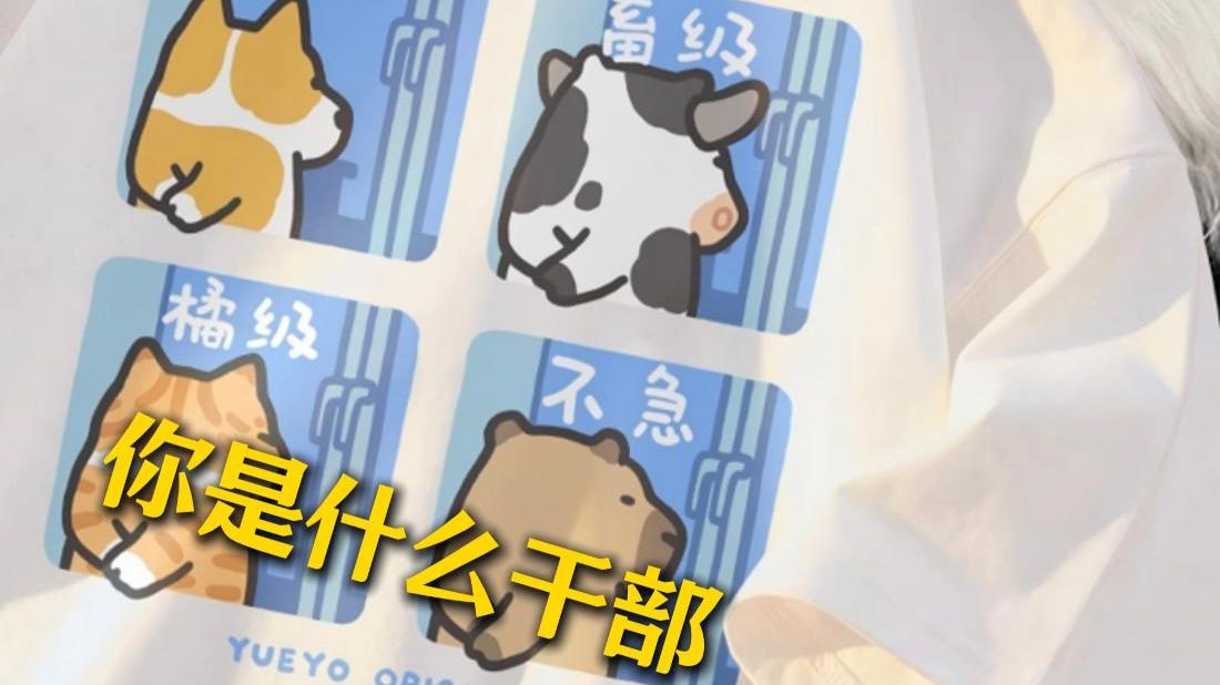 你是什么干部？