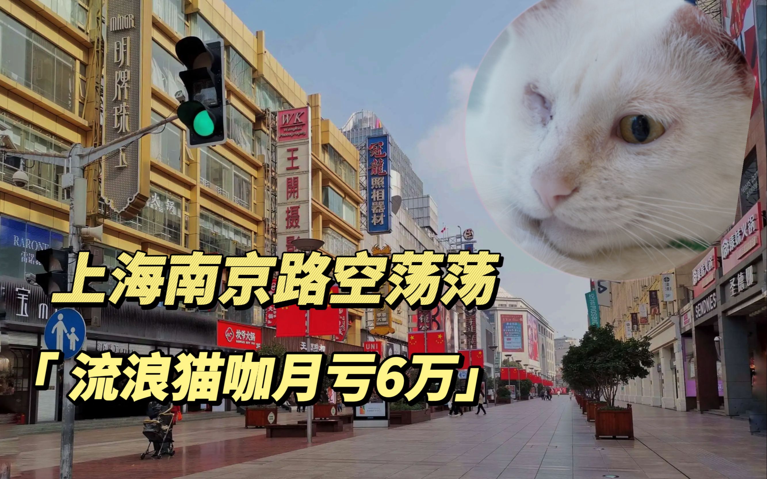 上海南京路空荡荡，流浪猫咖月亏6万