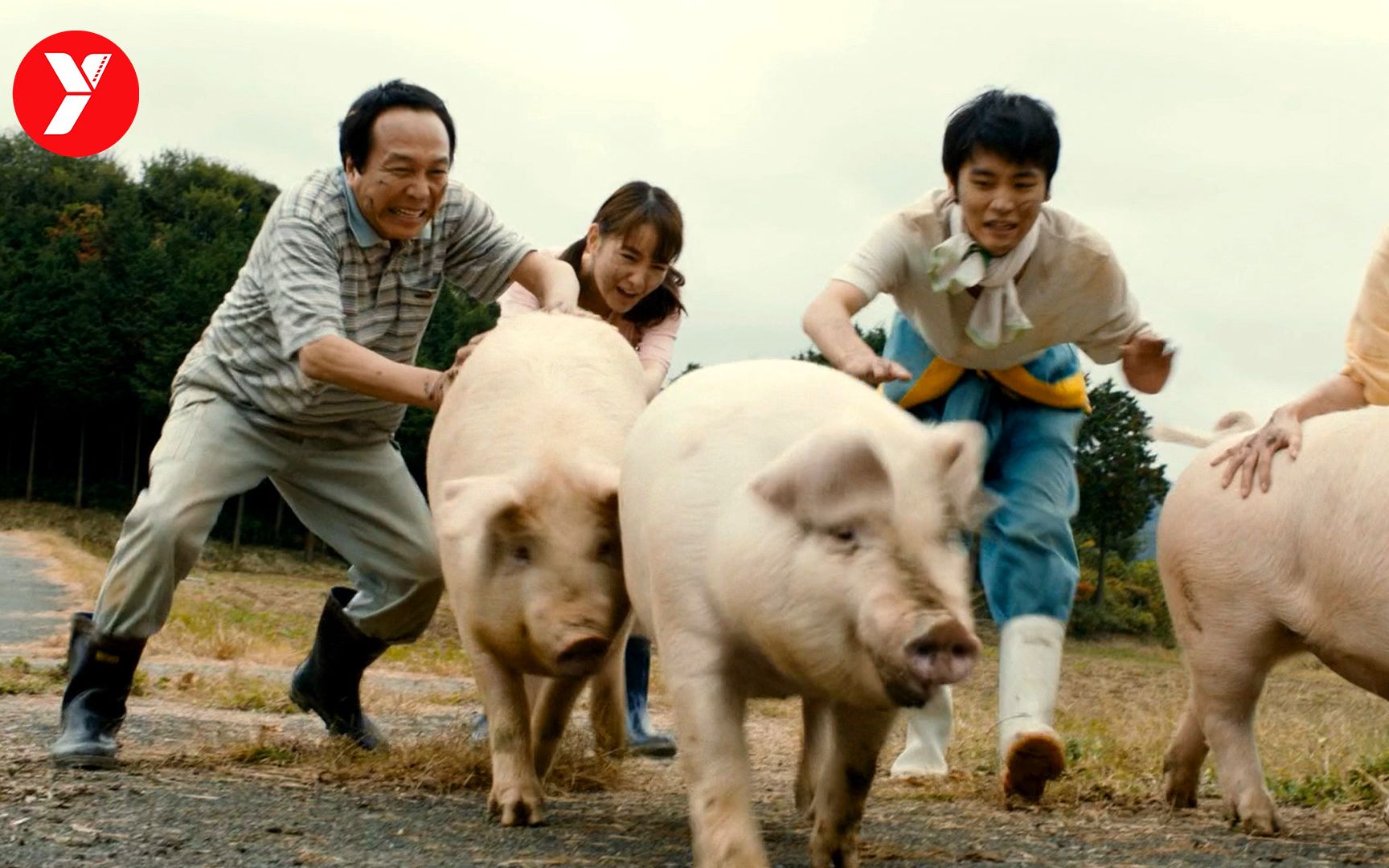 【越哥】全球停电两年，农村生活成了香饽饽！脑洞大开的科幻喜剧