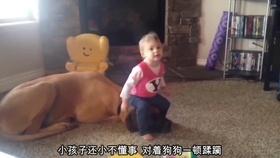 a2690816d173c3fd87844f92821e022adce57066.jpg@280w_158h_1c_100q.jpg