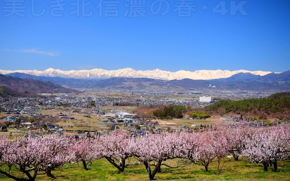 【4K超高清日本】第一视角 美丽的北信浓之春 2023.1
