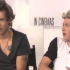 One Direction-Harry Styles&Niall Horan narry 两只蛇精病的谜之采访
