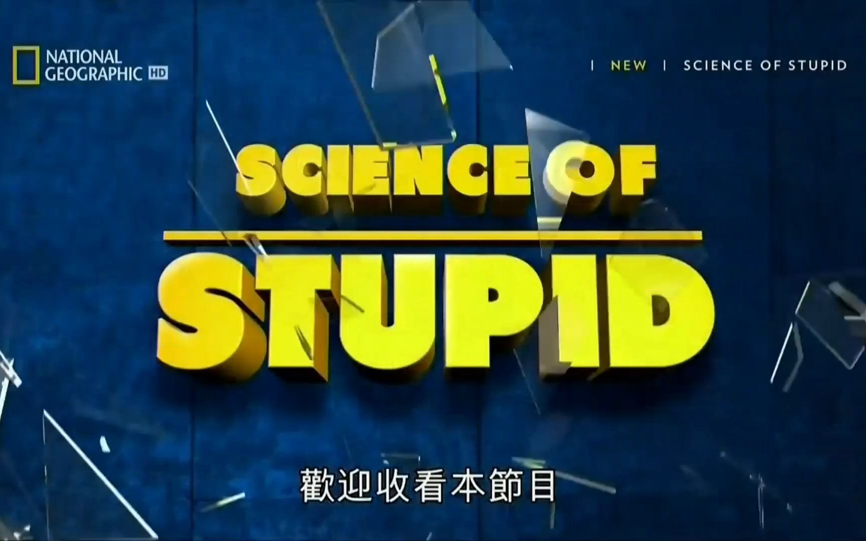 [国家地理]无厘头科学研究所 S04E02/聪明笨百科/Science of Stupid[繁中]哔哩哔哩bilibili