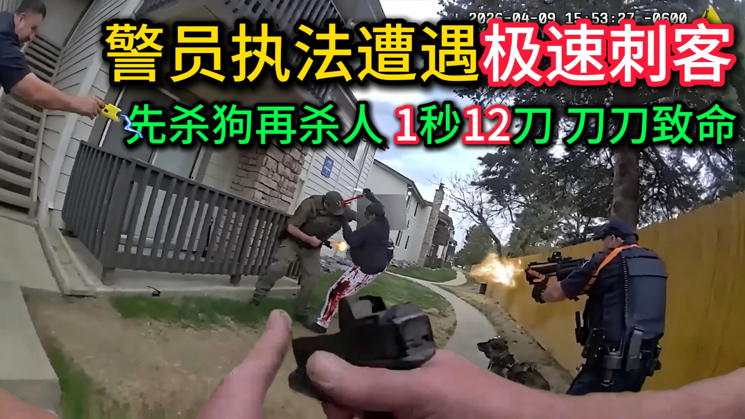 警员遭遇极速刺客，儿子当盾牌，先杀人再杀狗，1秒12刀刀刀要命！