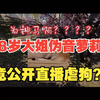 萝莉虐狗 天长地久？_网络游戏热门视频