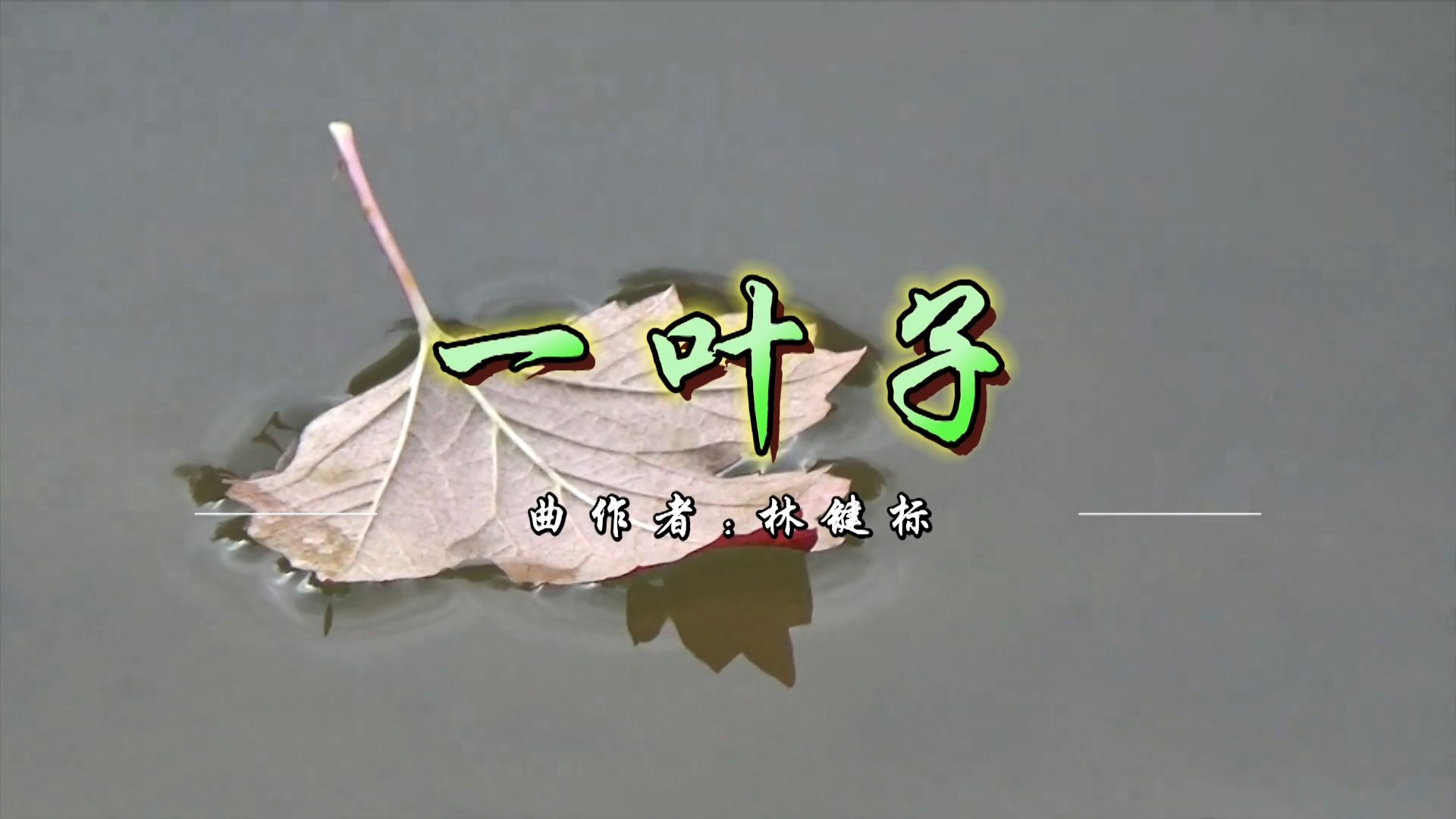 净化灵魂的纯音乐《一叶子》