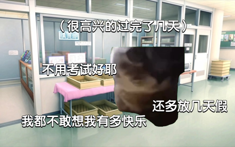 【猫meme】当你看见这条视频时我已经放假10天了（）