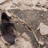 台湾苗栗一男子慢跑遭雷击 现场水泥地碎裂，鞋子炸开花