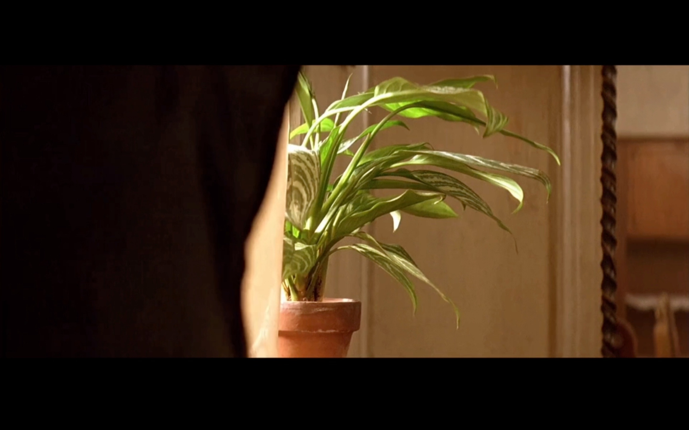 【电影】这个杀手不太冷 9