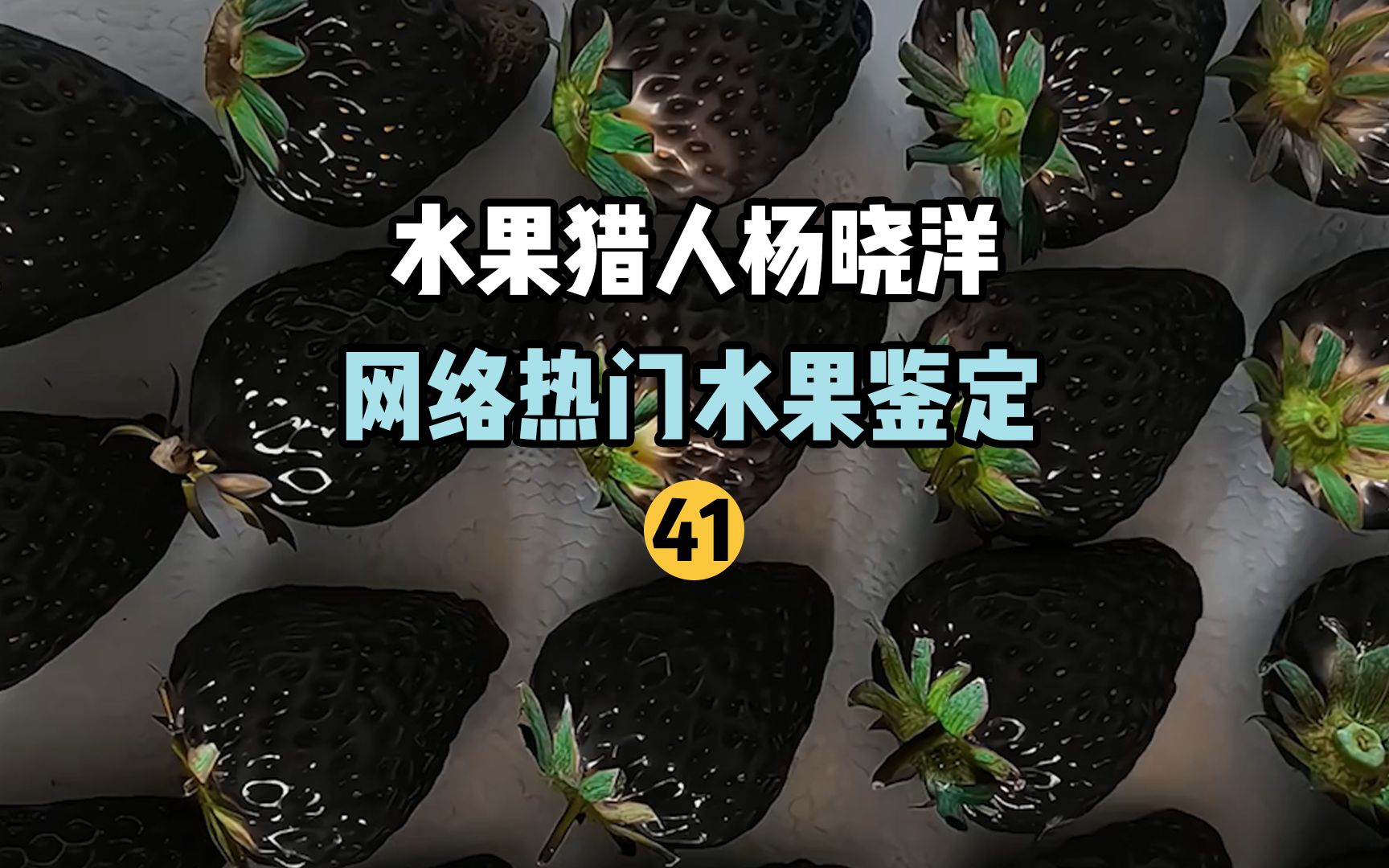 【水果猎人】网络热门水果鉴定41