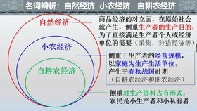 小农经济计入gdp_史上最全材料题答题套路,一文提分足够