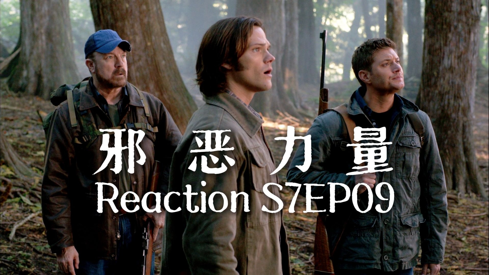 【第一次看邪恶力量】S7EP09 病从口入，馋嘴丁猫吃错东西变傻猫