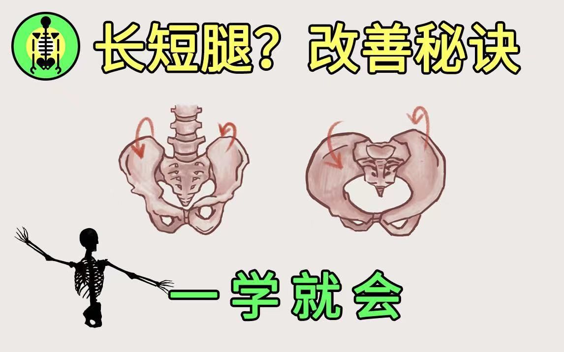 字幕下载