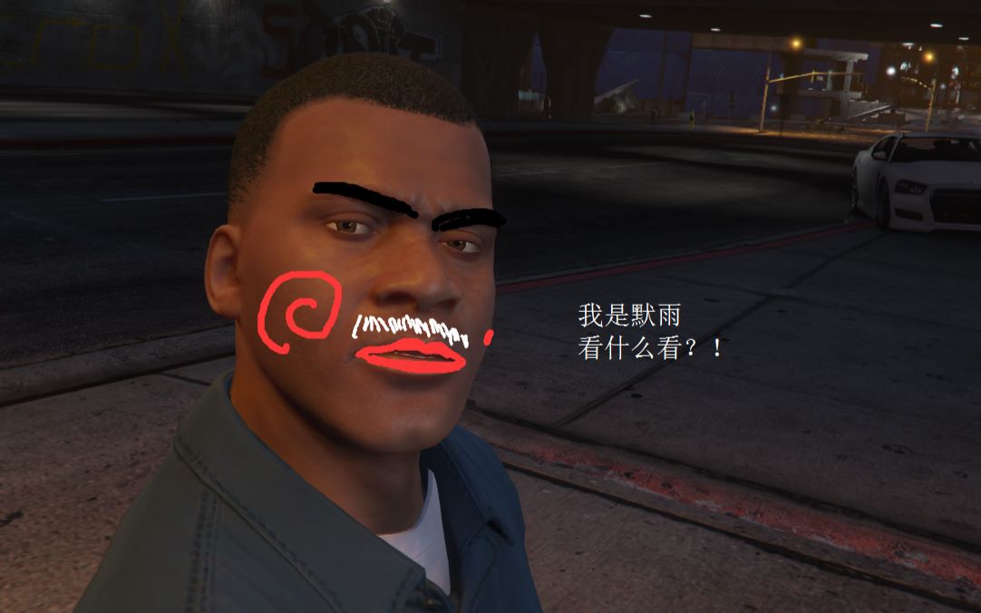 【默雨ovo】gta5 第一人称我可能碰到了假猫碰了瓷 第