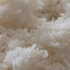 你真的会蒸米饭吗？记住这几点，蒸出的米饭油润透亮，香气扑鼻！