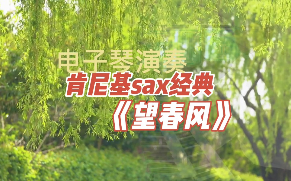 肯尼基萨克斯名曲《望春风,优美抒情,陶醉在这春风里,电子琴演奏