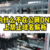 打击非法网站时，为什么不直接在公网DNS禁用域名解析