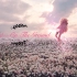 【Rosé】1080p高码率 绝美MV—On The Ground