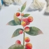 零基础水彩植物一，红果子，新手一学就会，一起来画画吧