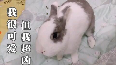 a3cef165cf634371fa35fca37822b9a46a4e9d82.jpg@480w_270h_1c