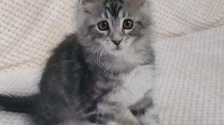 a3de8f50790043fce7e9aef69a086eed8042cc5c.jpg@480w_270h_1c