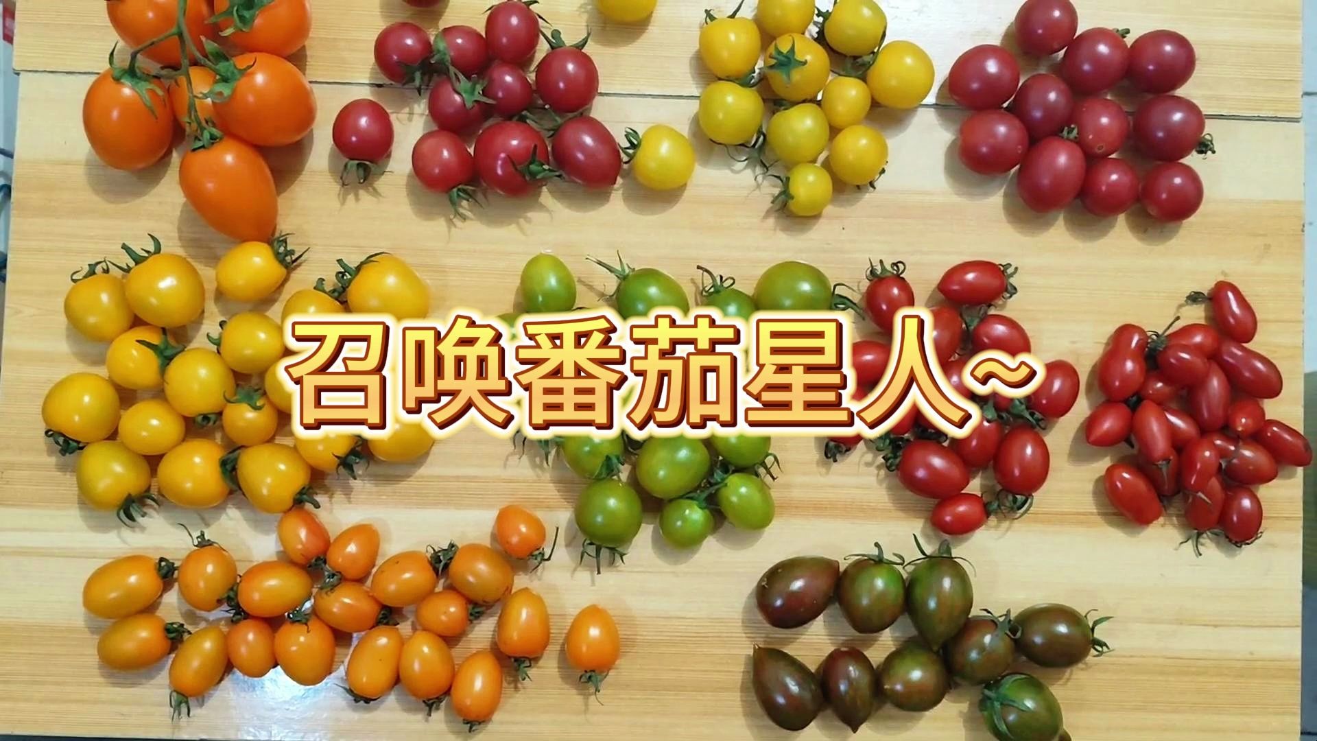 不同的小番茄吃起来是怎样的感觉